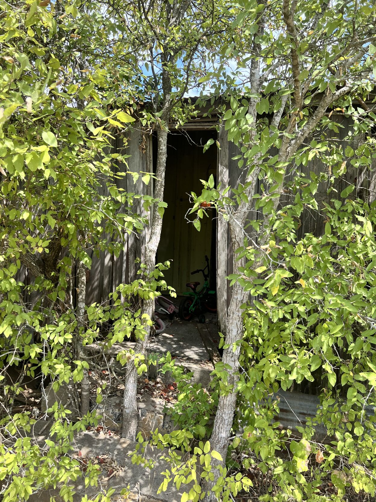Stash house in Goliad, Texas